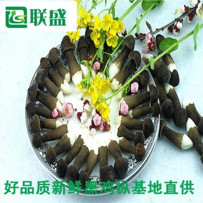 黑皮鸡枞菌厂家 黑皮鸡枞菌深加工产品直销 供应黑皮鸡枞菌图3