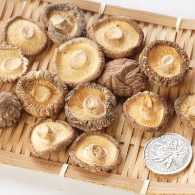 金钱菇 2-3cm小个香菇 剪柄小香菇 产地直销量大优惠 菌菇图2
