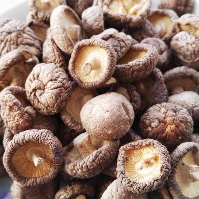 金钱菇 2-3cm小个香菇 剪柄小香菇 产地直销量大优惠 菌菇图4