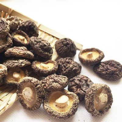 金钱菇 2-3cm小个香菇 剪柄小香菇 产地直销量大优惠 菌菇图5