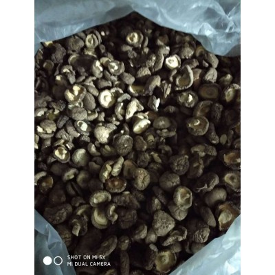 普通香菇 小香菇 产地直销 2500g一件图4