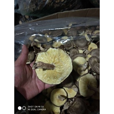 大香信菇 7cm以上香信菇7-9cm直径香菇 菌菇图2