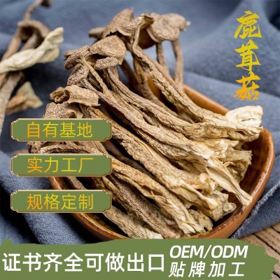 古田新货鹿茸菇干货脆脆菇煲汤食材酒店餐饮火锅供应产地货源批发图2