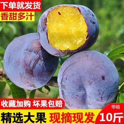 【精选】现摘陕西黑布林大李子整箱5/10斤应季新鲜孕妇水果批发图2