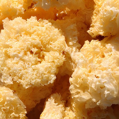 福建古田银耳整朵500g散装特产银耳子食用菌白木耳大雪耳现货批发图2