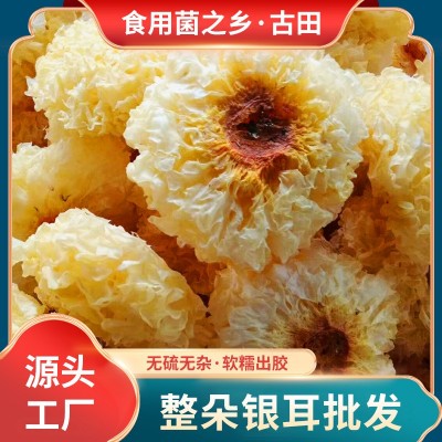 福建古田银耳整朵500g散装特产银耳子食用菌白木耳大雪耳现货批发图1