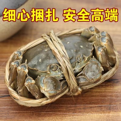 蟹子莱精品鲜活大闸蟹螃蟹母蟹3.5两公4.5两10只阳澄湖公母礼盒装图2