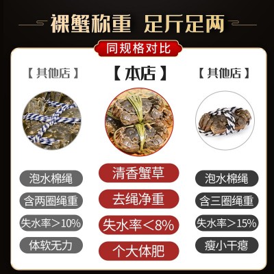 蟹子莱精品鲜活大闸蟹螃蟹母蟹3.5两公4.5两10只阳澄湖公母礼盒装图4