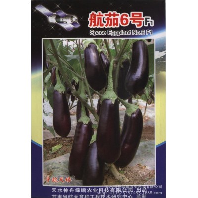 厂家批发 一代杂交种 20粒 /袋 可订制图3