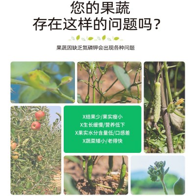 中禾3号高钾肥大量元素水溶肥中药材采摘园冲施肥农场菜地滴灌肥图4