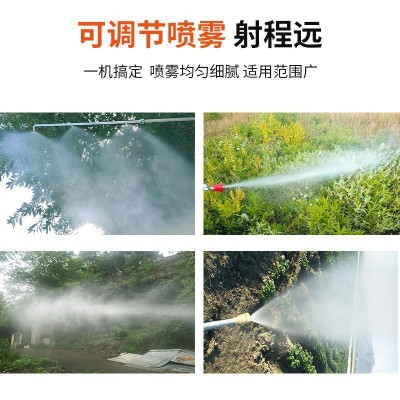 汽油打农药打药机四冲程高压泵背负式园林果树喷粉农用消毒喷雾器图3