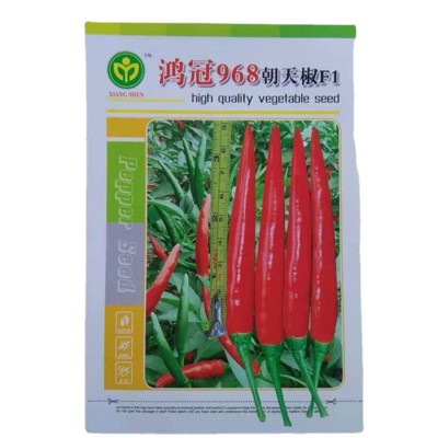 批发包邮 鸿冠968朝天椒种子 泰国引进杂交橘红大果朝天椒小米椒图4