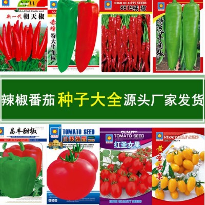 蔬菜种子批发跑江湖地摊种子水果辣椒种籽袋装原装彩袋地摊种植图3