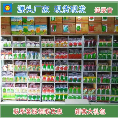萝卜菜籽大全秋季蔬菜种子批发袋装菜种批发水果萝卜大红袍胡萝卜图4