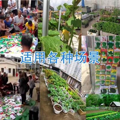 萝卜菜籽大全秋季蔬菜种子批发袋装菜种批发水果萝卜大红袍胡萝卜图3