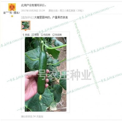 荷兰水果小黄瓜种籽蔬菜种子孑大全高产四季农家早春夏季阳台南方图2
