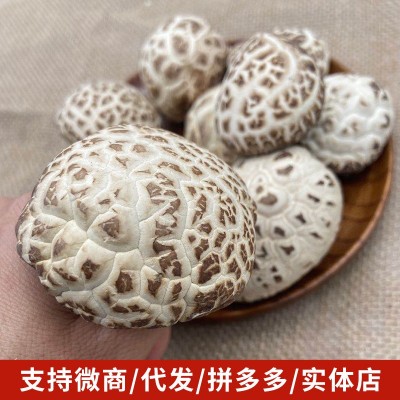 白花菇菌菇蘑菇大个头500g干货批发白花厚香菇特产代发天白花菇图2