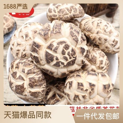 白花菇菌菇蘑菇大个头500g干货批发白花厚香菇特产代发天白花菇图1