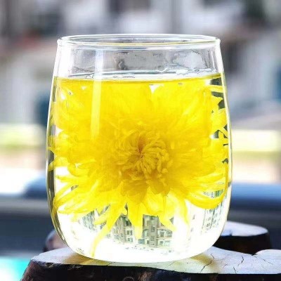 22新金丝皇菊袋装金丝菊菊花一朵一袋菊花茶花茶黄菊产地厂家直供图4