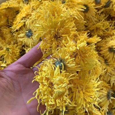 2022金丝皇菊散货批发大朵一朵一杯菊花金丝婺源散货产地基地供应图3