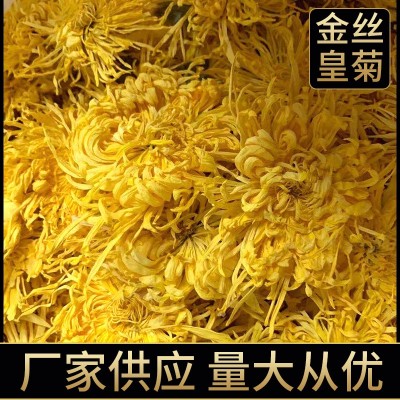 2022金丝皇菊散货批发大朵一朵一杯菊花金丝婺源散货产地基地供应图2