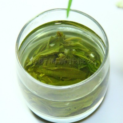 炒青绿茶批发 屯绿 散装500g 高山绿茶图3