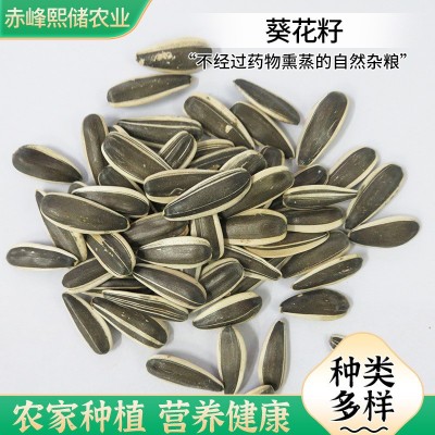 熙储无药物熏蒸自然杂粮葵花籽 五香味原味春节年货炒货葵花籽图2