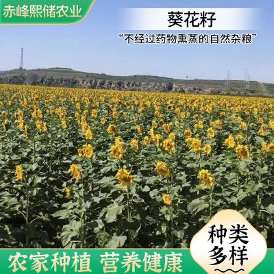 熙储无药物熏蒸自然杂粮葵花籽 五香味原味春节年货炒货葵花籽图4