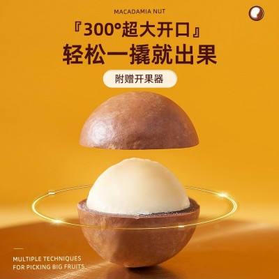 现货夏威夷果500g罐装 开口易剥坚果罐装批发 居家看剧休 闲小零食图3