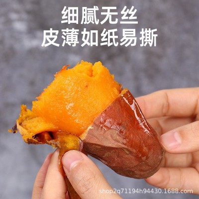 正宗烟薯25号新鲜现挖50斤100斤香甜糯蜜薯香甜无丝皮薄烤地瓜批图2