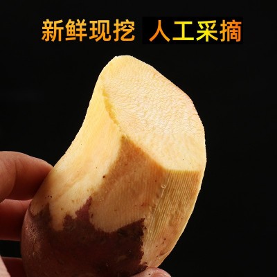 红薯批发香甜可口济薯26沙地红薯自种商用红薯基地新鲜现挖蜜薯图2