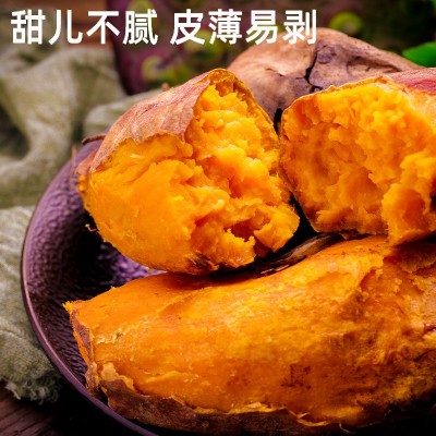 批发红薯板栗沙地蜜薯地瓜山芋新鲜香甜番薯5斤带箱源头新鲜现挖图4