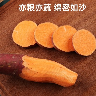 批发红薯板栗沙地蜜薯地瓜山芋新鲜香甜番薯5斤带箱源头新鲜现挖图3