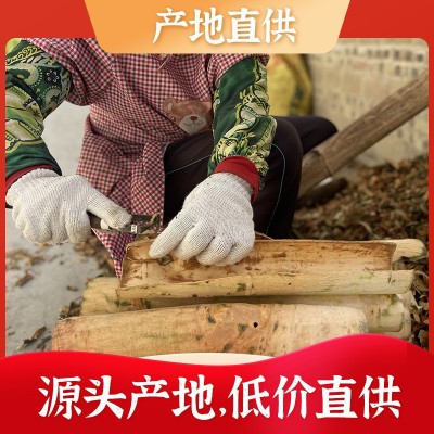 50g广西特产烟仔桂精品原产地直供香料香辛料卤料调料图2