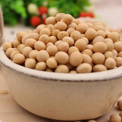 菏泽厂家批发食用黄豆 优良五谷杂粮大豆 豆芽用黄豆图4