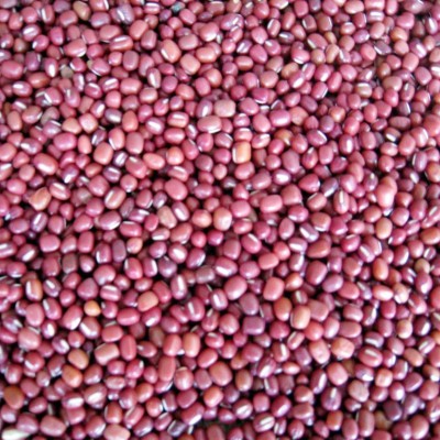 红豆大量批发 原料豆类粗粮 五谷杂粮 婴幼儿伤员病号改善伙食图2