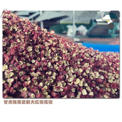 2021武都大红袍花椒梅花椒香麻椒调味品干红花椒粒甘肃特产250g图2