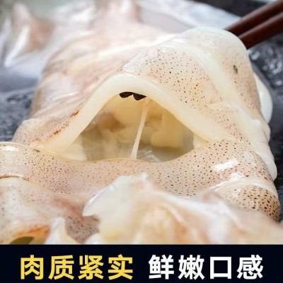 大鱿鱼整只新鲜冷冻大鱿鱼鲜鱿鱼阿根廷大鱿鱼优 鱿鱼批发图3
