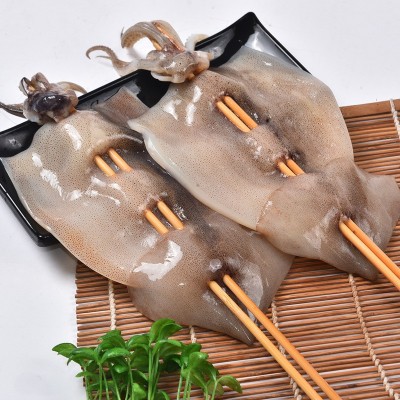 厂家批发优惠 铁板鱿鱼串 烧烤鱿鱼串 阿根廷150g轰炸大鱿鱼板串图4