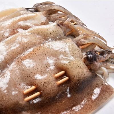 厂家批发优惠 铁板鱿鱼串 烧烤鱿鱼串 阿根廷150g轰炸大鱿鱼板串图2