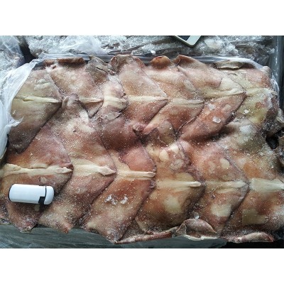 烟台厂家优惠秘鲁鱿鱼尾原料 冷冻批发鱿鱼 烧烤鱿鱼原料大量批发图2