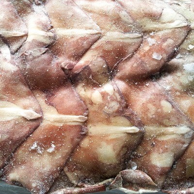 烟台厂家优惠秘鲁鱿鱼尾原料 冷冻批发鱿鱼 烧烤鱿鱼原料大量批发图3
