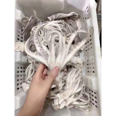 厂家直供批发单冻机洗鱿鱼头冻品海鲜烧烤铁板烧卤味火锅串串原料图4