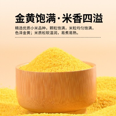 美丽农庄有机黄小米新米朝阳正宗黄金苗小米五谷杂粮熬粥米送宝宝图4