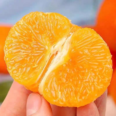 广西武鸣沃柑10斤泡沫箱装应季橘子新鲜水果薄皮桔子沃柑批发ab混图5