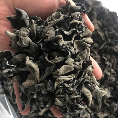 厂家批发黑木耳特产 散货干货木耳干东北木耳散装无根秋木耳图2