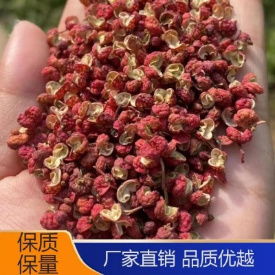 优质辣椒花椒 散装批发厂家 金亿鑫 颜色靓丽 正宗中药材图1