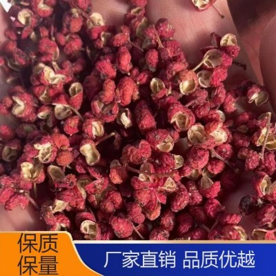 优质辣椒花椒 散装批发厂家 金亿鑫 颜色靓丽 正宗中药材图4