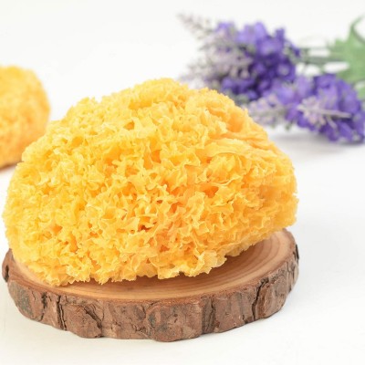 【丑耳】古田特产银耳 食用菌木耳丑耳 白木耳干货特产糯耳250克图3