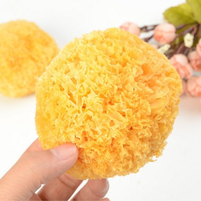 【丑耳】古田特产银耳 食用菌木耳丑耳 白木耳干货特产糯耳250克图2